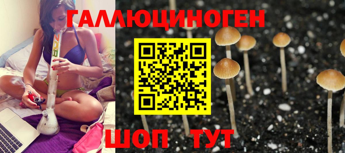 Псилоцибиновые грибы мухоморы Борзя